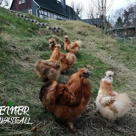 Kleiner Kuhstall * Курорт-Гориш