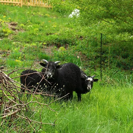 Kleiner Kuhstall Апартаменты Курорт-Гориш