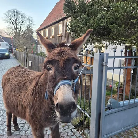 公寓 Kleiner Kuhstall