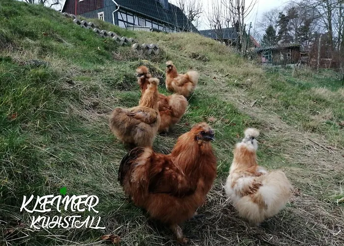 Kleiner Kuhstall * Kurort Gohrisch