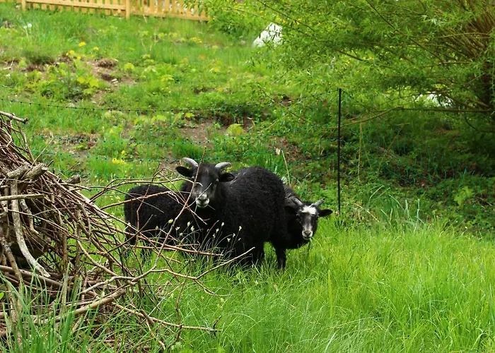 Kleiner Kuhstall 公寓 卡劳特格瑞斯赫