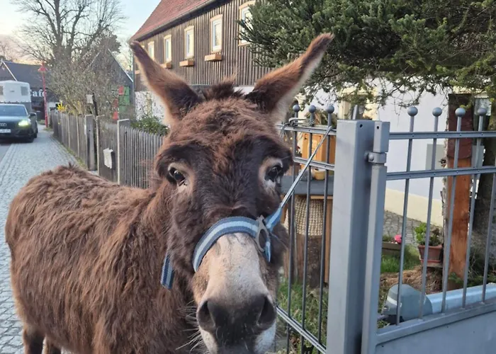 Διαμέρισμα Kleiner Kuhstall